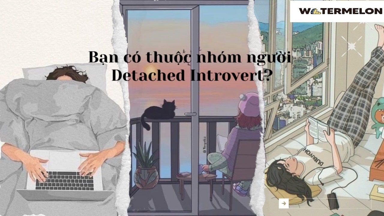 Có một nhóm người Detached Introvert không quan tâm quảng cáo, bạn có trong số đó?