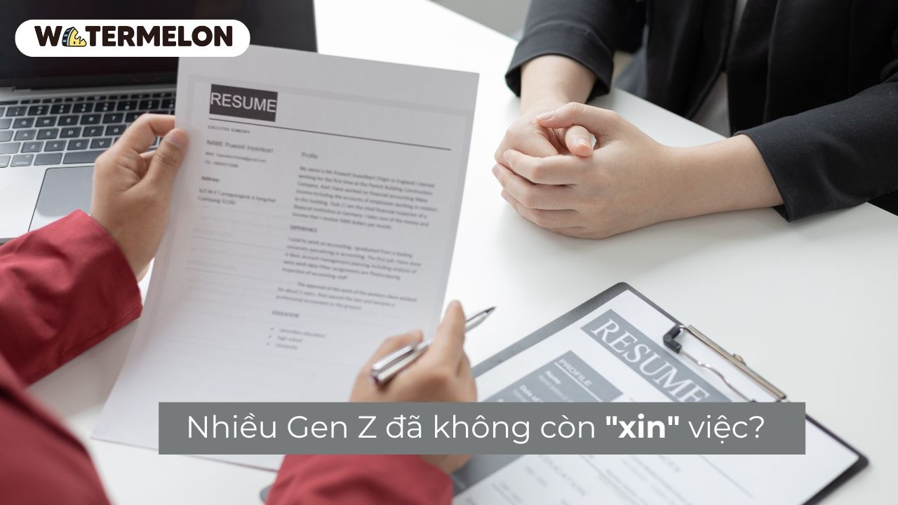 Nhiều Gen Z đã không còn "xin" việc?