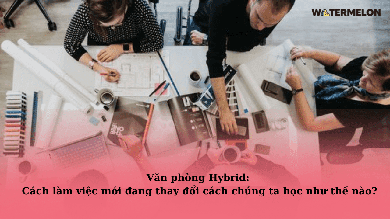 Văn phòng Hybrid: Cách làm việc mới đang thay đổi cách chúng ta học như thế nào?